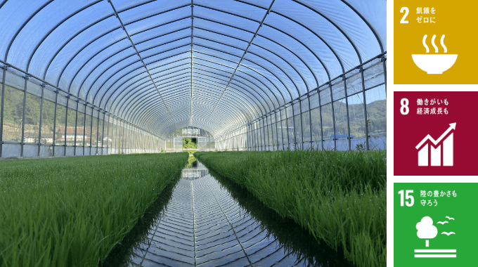 里山の農地で、有機農業の普及と雇用創出を目指す