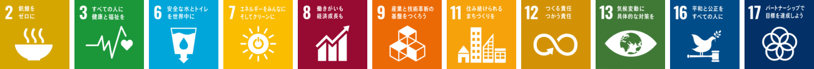 SDGs 2, 3, 6, 7, 8, 9, 11, 12, 13, 16, 17