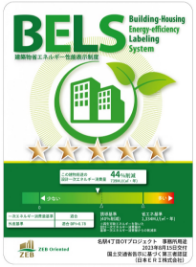 BELS
